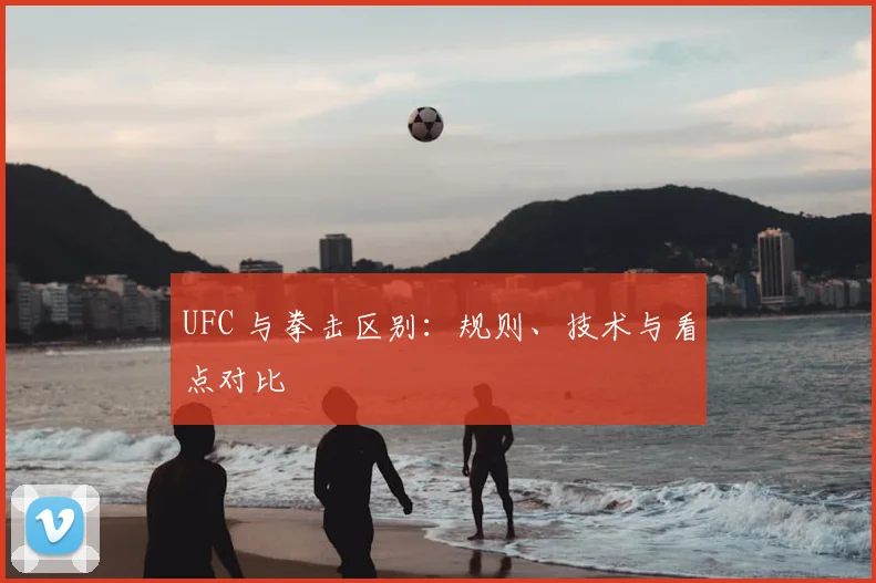 UFC 与拳击区别：规则、技术与看点对比
