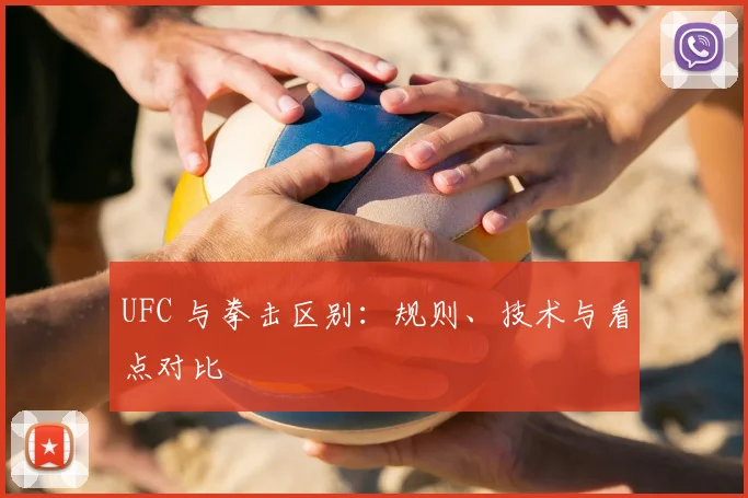 UFC 与拳击区别：规则、技术与看点对比